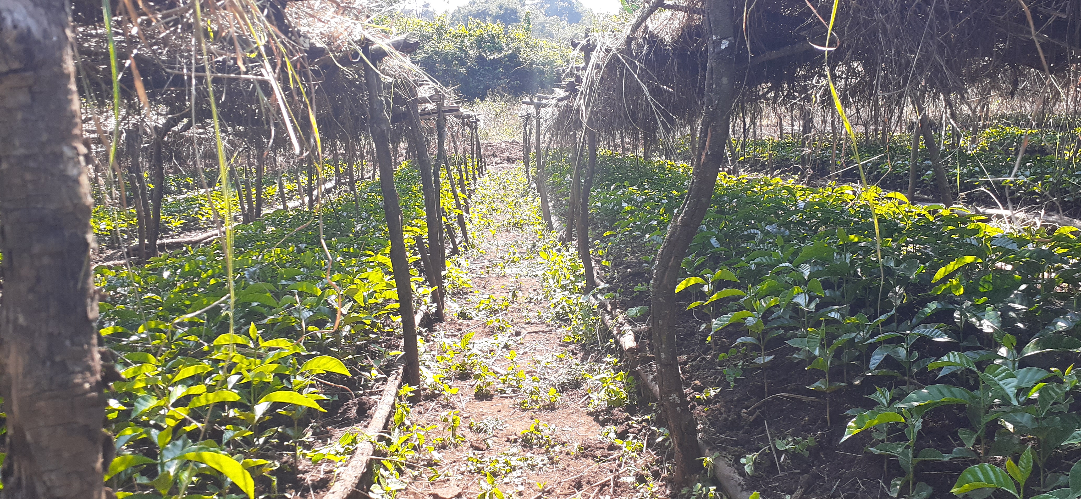 project-slider-image